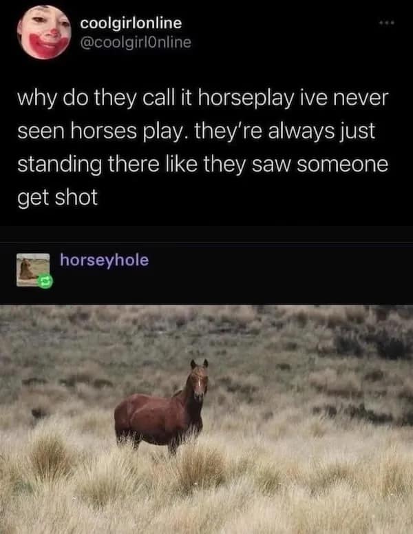 Horse standing alone with funny horseplay tweet