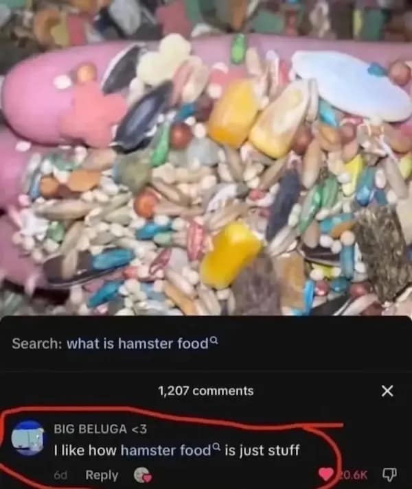 like how hamster food" is just stuff