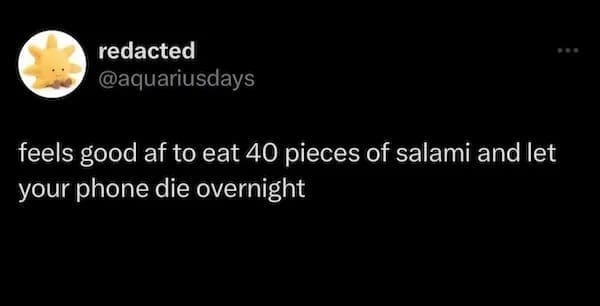 Tweet about eating salami and letting phone die overnight