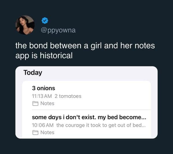 the bond between a girl and her notes app is historical