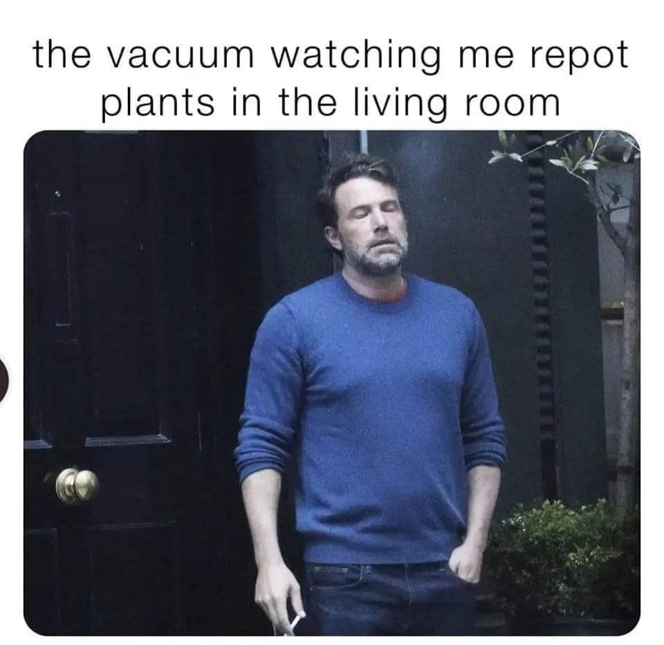 the vacuum watching me repot plants in the living room