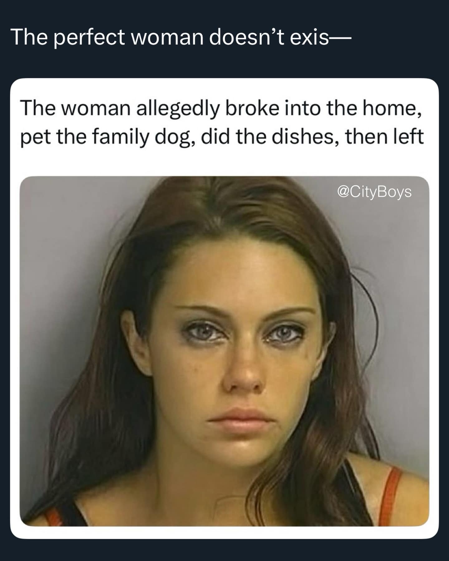 The perfect woman doesn't exis— The woman allegedly broke into the home, pet the family dog, did the dishes, then left