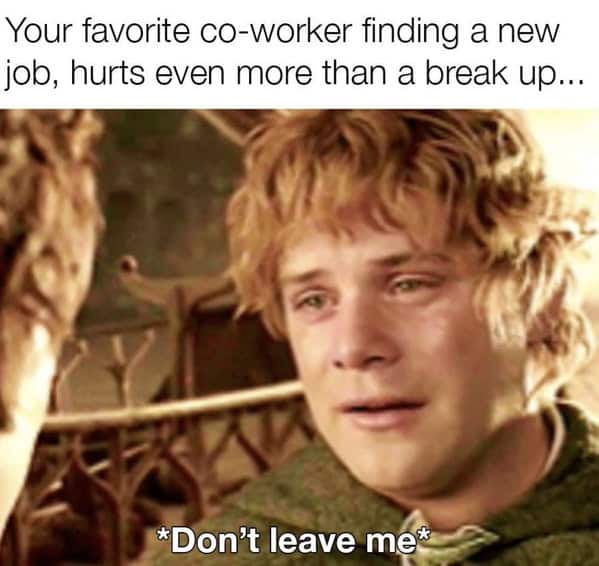 funny memes about coworkers, coworker memes, office memes, workplace memes, coworker jokes, team-building memes, cubicle memes, remote work memes, reply-all memes, meeting memes, water-cooler memes, boss memes, snack hoard memes, desk neighbor memes, office drama memes, email signature memes, Zoom memes, coffee-break memes, deadline memes, colleague memes, office humor