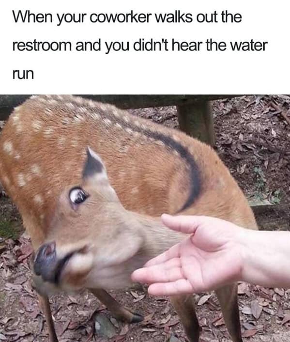 funny memes about coworkers, coworker memes, office memes, workplace memes, coworker jokes, team-building memes, cubicle memes, remote work memes, reply-all memes, meeting memes, water-cooler memes, boss memes, snack hoard memes, desk neighbor memes, office drama memes, email signature memes, Zoom memes, coffee-break memes, deadline memes, colleague memes, office humor