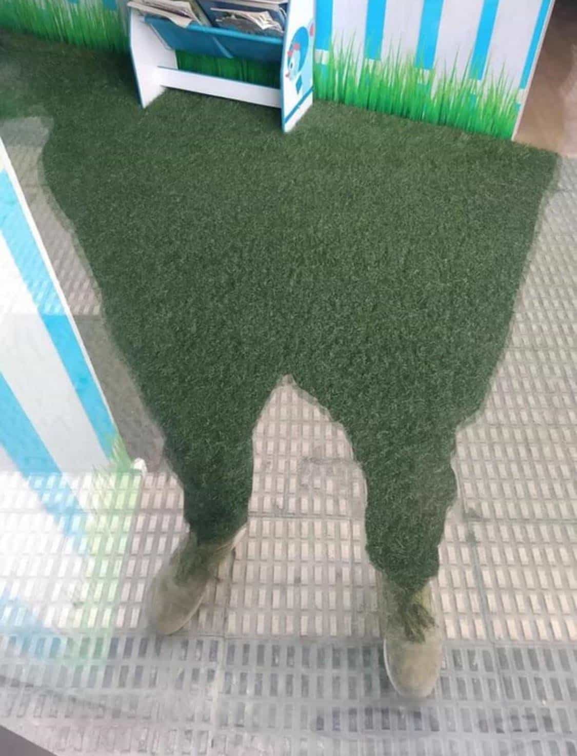 funny optical illusions photo of a patch of grass behind glass, making it appear like someone’s wearing green furry pants