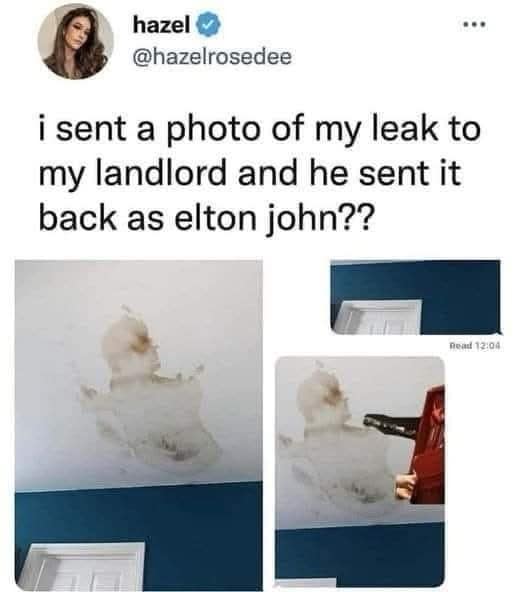 i sent a photo of my leak to my landlord and he sent it back as elton john??