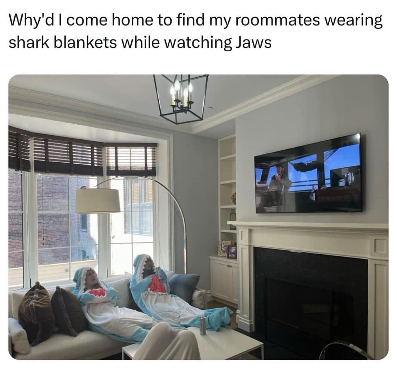 Why'd I come home to find my roommates wearing shark blankets while watching Jaws