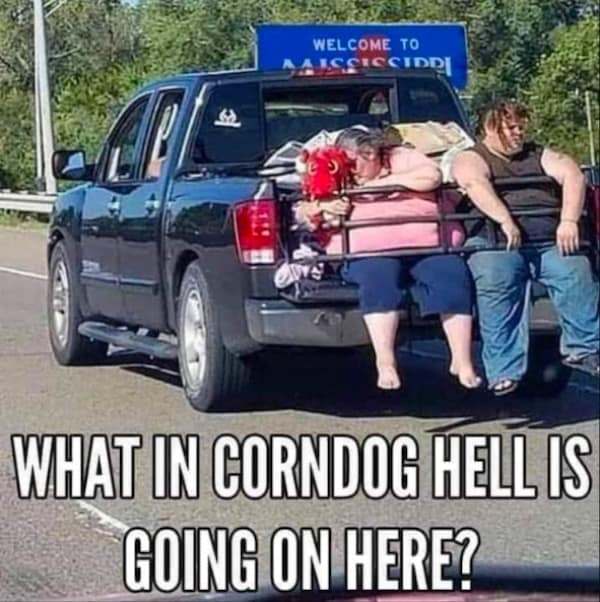 WHAT IN CORNDOG HELL IS GOING ON HERE?