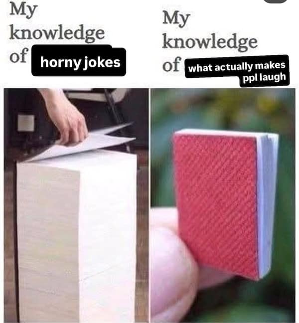 My knowledge of horny jokes My knowledge of what actually makes pp|laugh