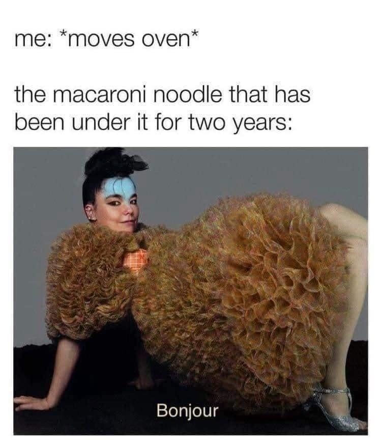 Macaroni under oven says bonjour meme