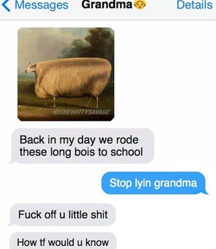 Back in my day we rode these long bois to school Stop lyin grandma