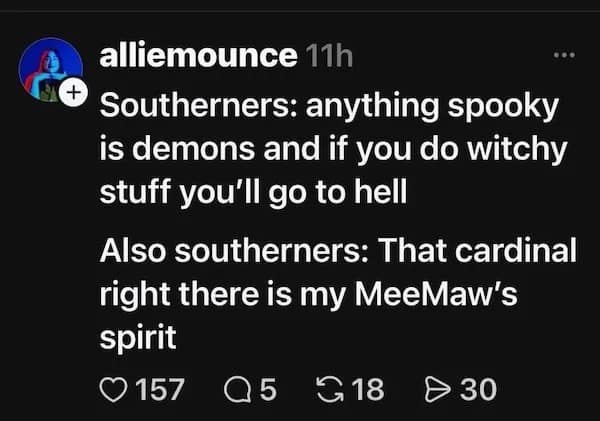 Southern cultural contradiction meme about demons and spiritual cardinals