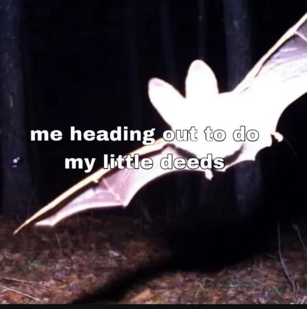 me heading out to do my little deeds