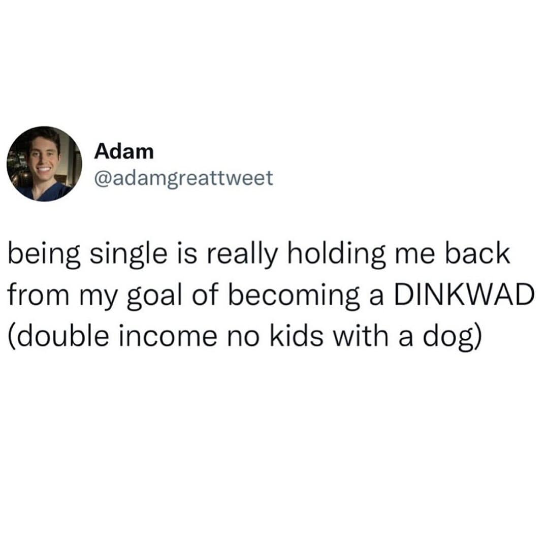 Tweet about being single and wanting to be a DINKWAD.