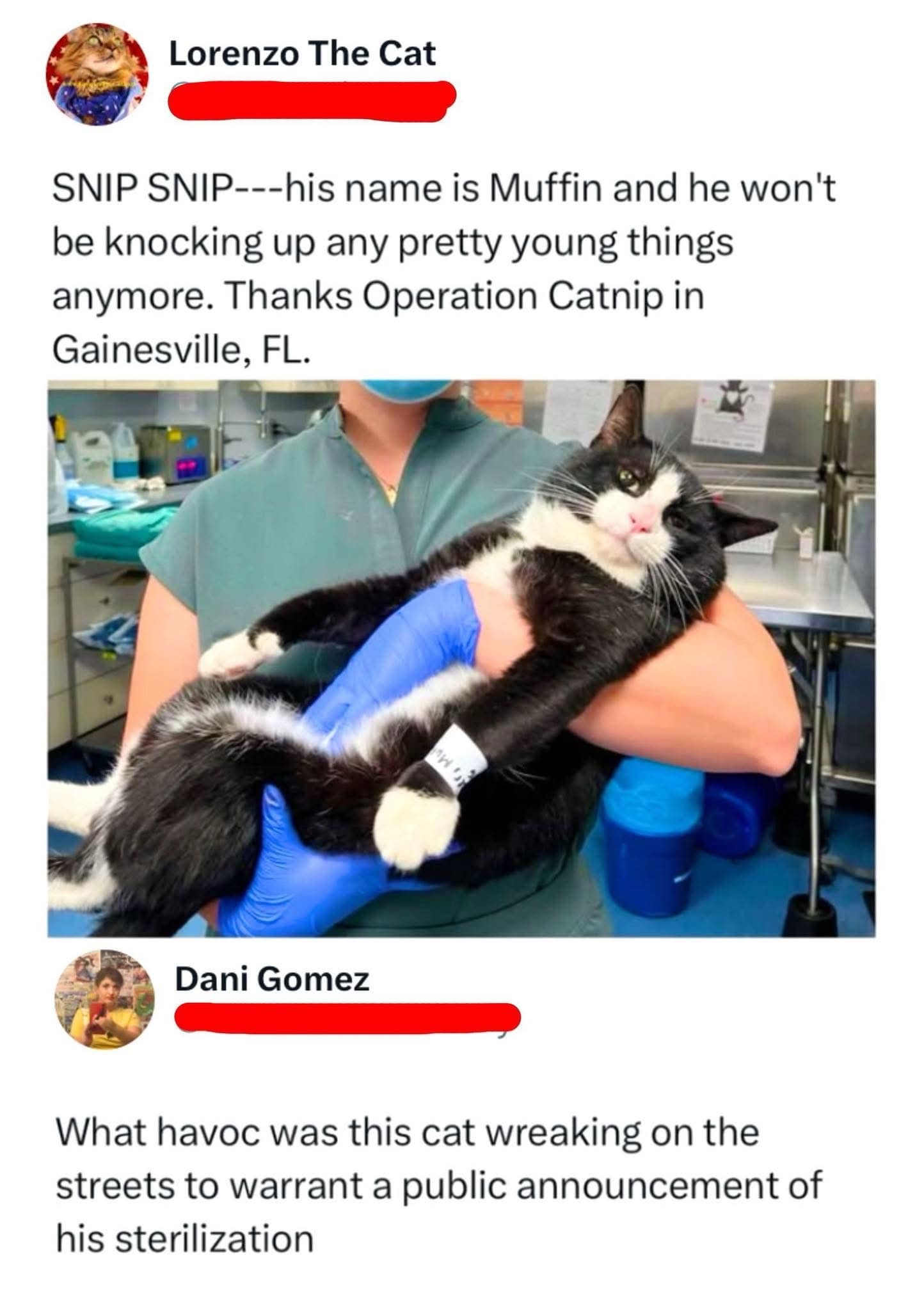SNIP SNIP---his name is Muffin and he won't be knocking up any pretty young things anymore. Thanks Operation Catnip in Gainesville, FL.