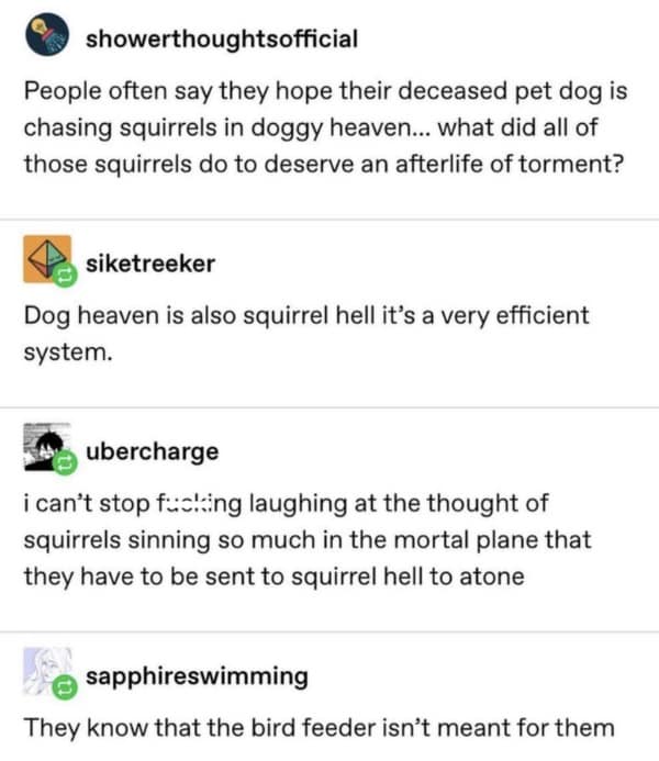 People often say they hope their deceased pet dog is chasing squirrels in doggy heaven... what did all of those squirrels do to deserve an afterlife of torment?