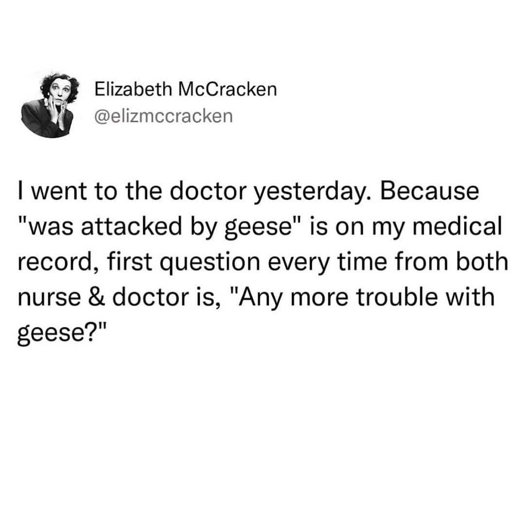 I went to the doctor yesterday. Because "was attacked by geese" is on my medical record, first question every time from both nurse & doctor is, "Any more trouble with geese?"