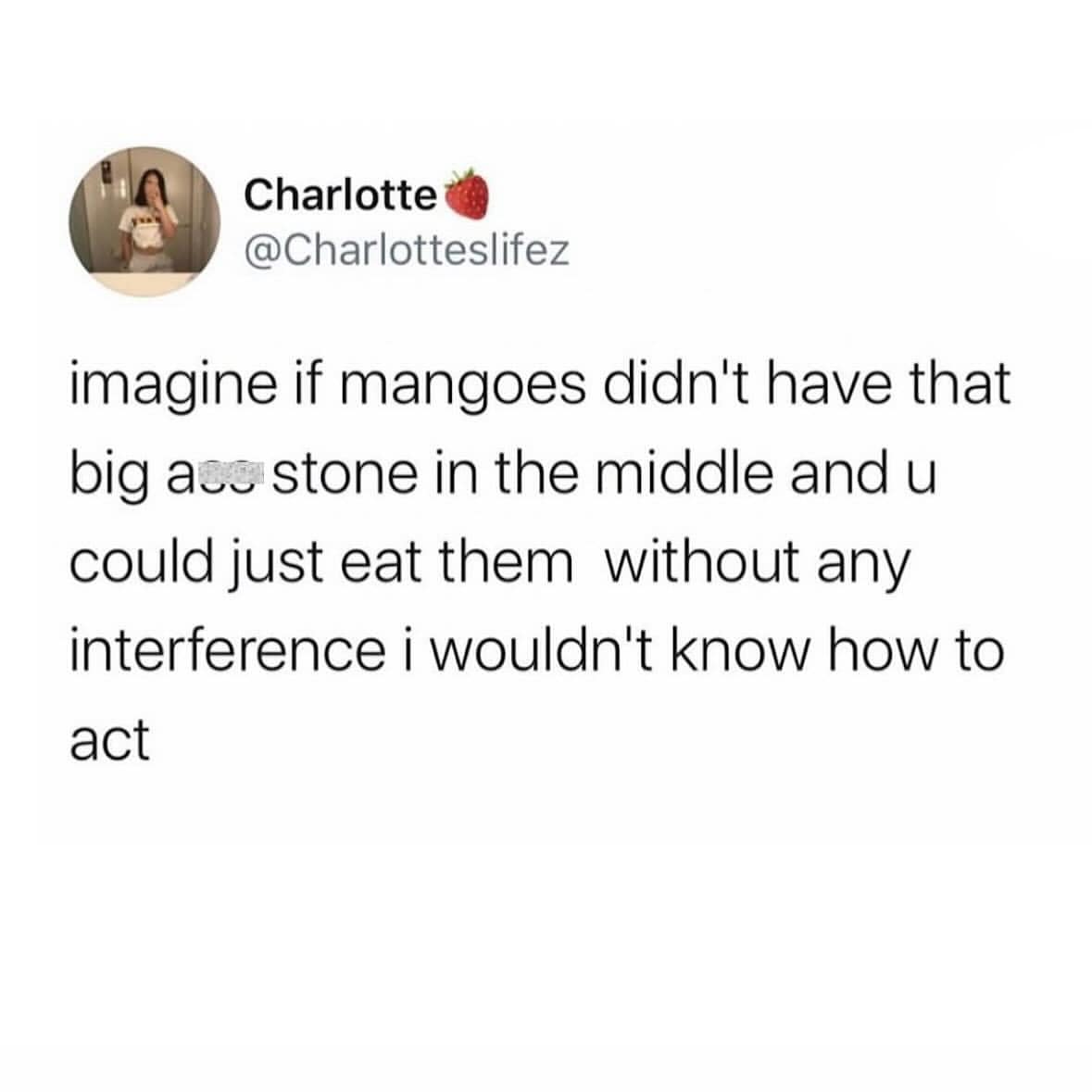 imagine if mangoes didn't have that big ase stone in the middle and u could just eat them without any interference i wouldn't know how to act