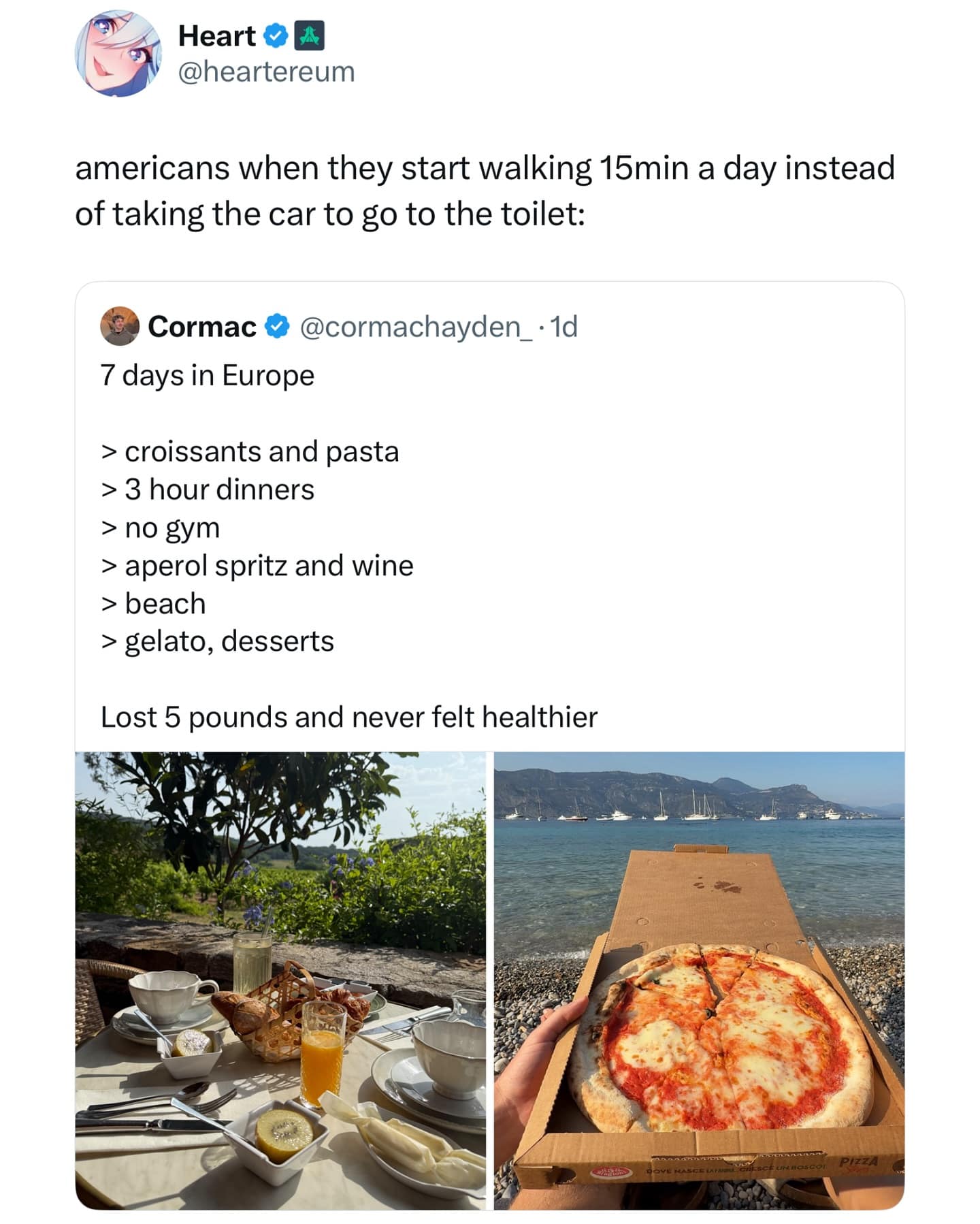 americans when they start walking 15min a day instead of taking the car to go to the toilet: