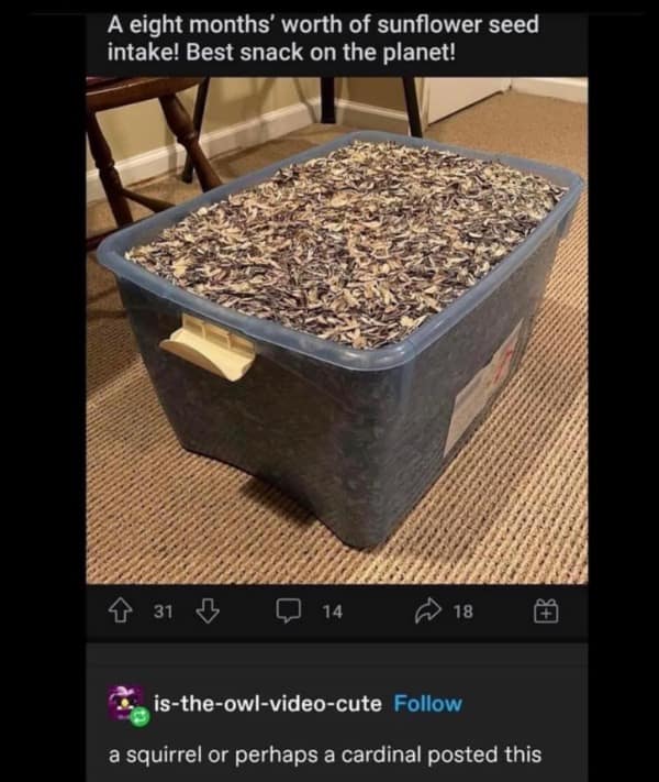 A eight months' worth of sunflower seed intake! Best snack on the planet!