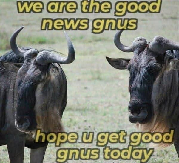 we are the good news gnus hope u get good gnus today