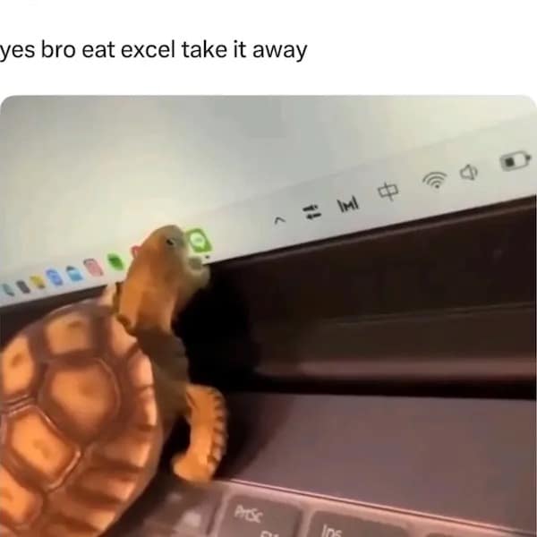 yes bro eat excel take it away