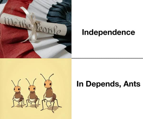 Independence In Depends, Ants
