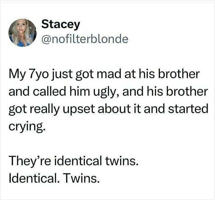 My 7yo just got mad at his brother and called him ugly, and his brother got really upset about it and started crying. They're identical twins. Identical. Twins.