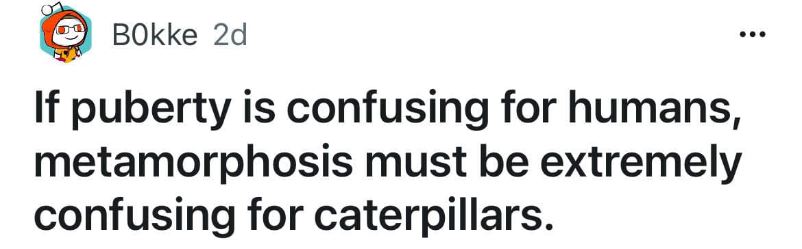 funny shower thoughts, shower thoughts, absurd humor, accidental comedy, mind-blowing thoughts, shower thoughts reddit, existential musings, ridiculous questions, accidental genius, shower humor, absurd questions, existential dread