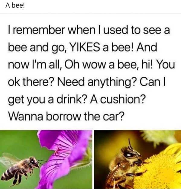 I remember when I used to see a bee and go, YIKES a bee! And now I'm all, Oh wow a bee, hi! You ok there? Need anything? Can I get you a drink? A cushion? Wanna borrow the car?