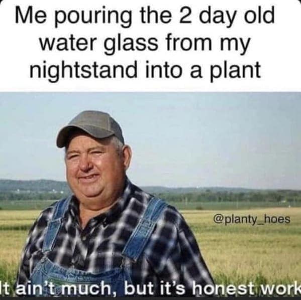 Me pouring the 2 day old water glass from my nightstand into a plant It ain't much, but it's honest work