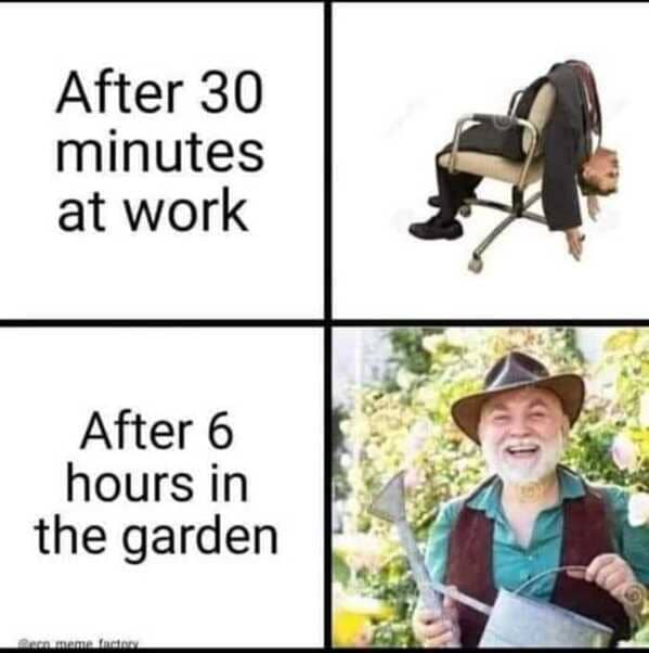 After 30 minutes at work After 6 hours in the garden