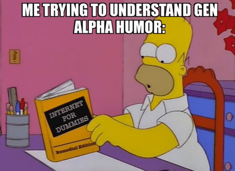 ME TRYING TO UNDERSTAND GEN ALPHA HUMOR: