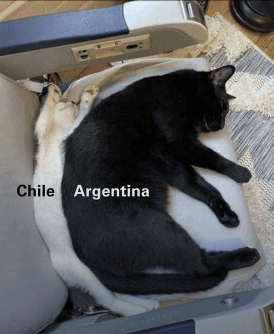 Two cats labeled Chile and Argentina, positioned like a map in a clever geography meme.