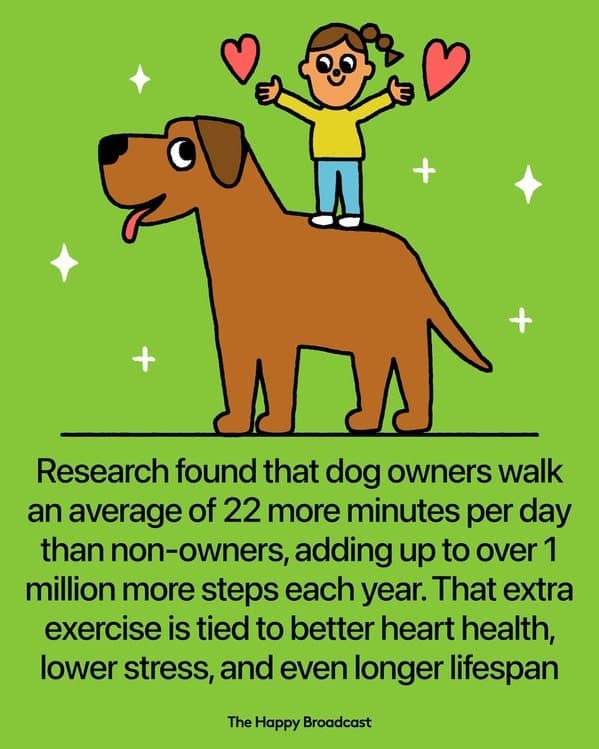 Cartoon of a girl standing on a big dog with hearts, showing benefits of daily walks.