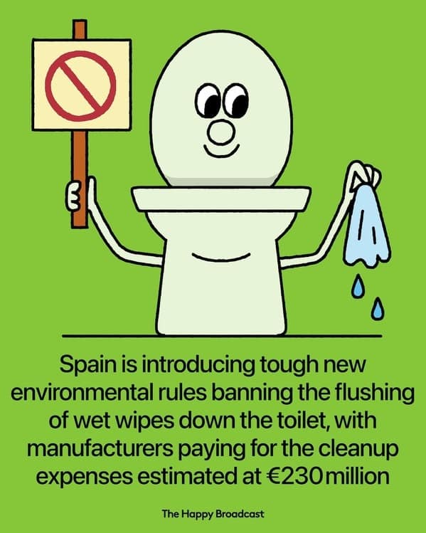Cartoon toilet holding a ban sign with text about Spain’s wet wipe flushing ban.