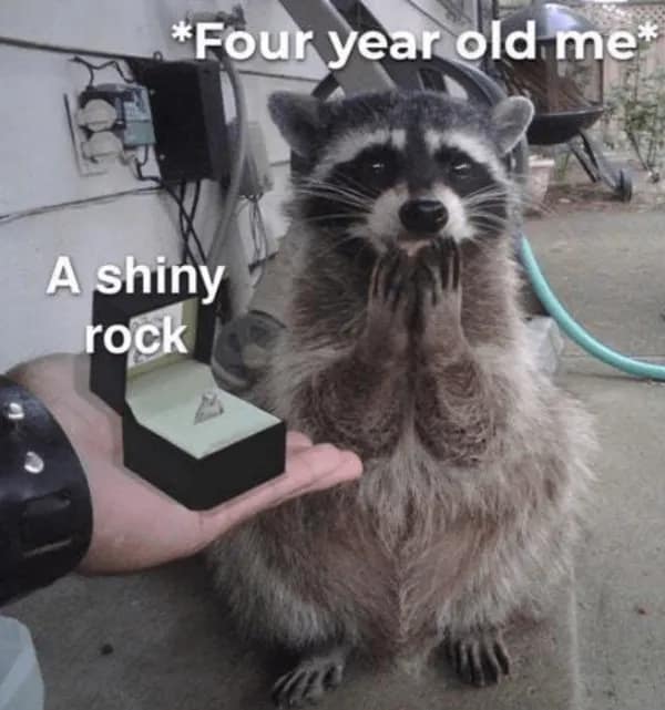 *Four year old me* A shiny rock