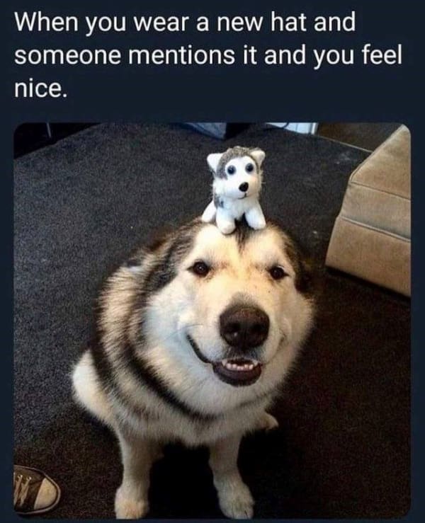 When you wear a new hat and someone mentions it and you feel nice.