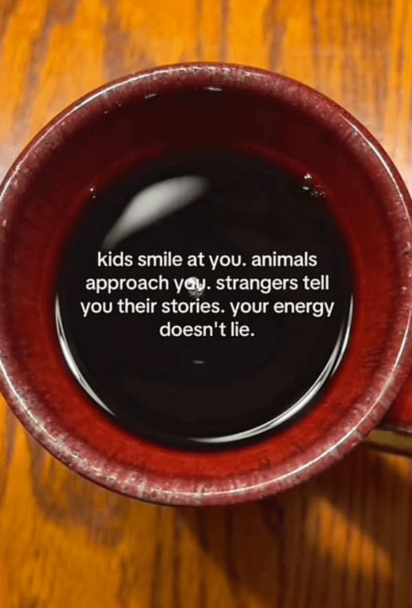 kids smile at you. animals approach you. strangers tell you their stories. your energy doesn't lie.