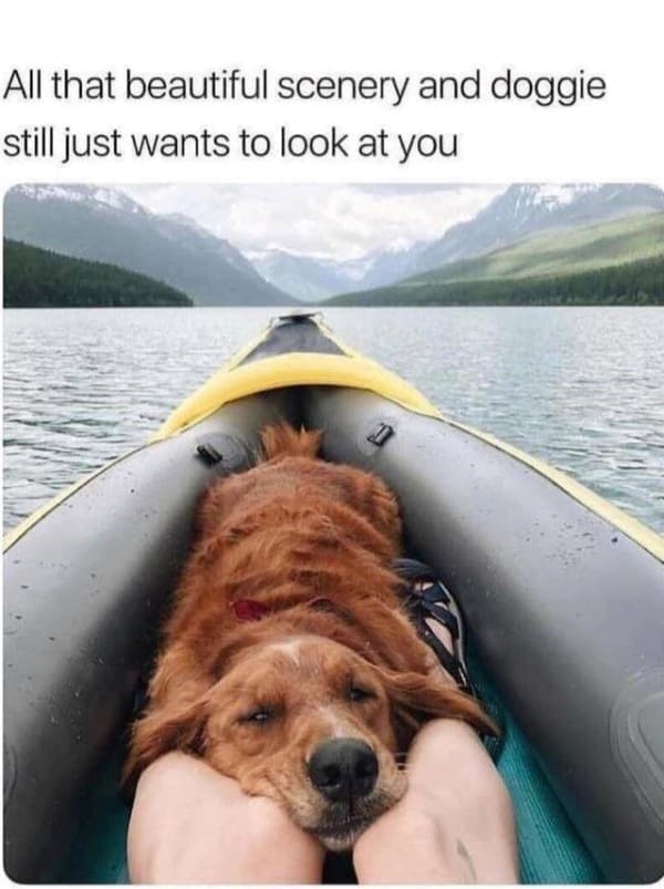 All that beautiful scenery and doggie still just wants to look at you