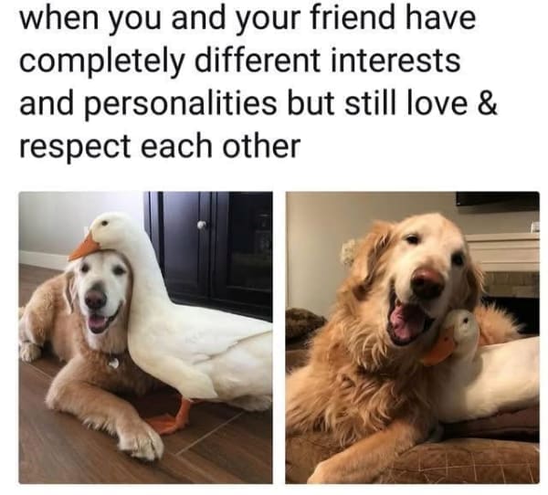 when you and your friend have completely different interests and personalities but still love & respect each other