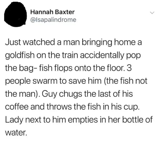 Commuters work together to save a goldfish on a train