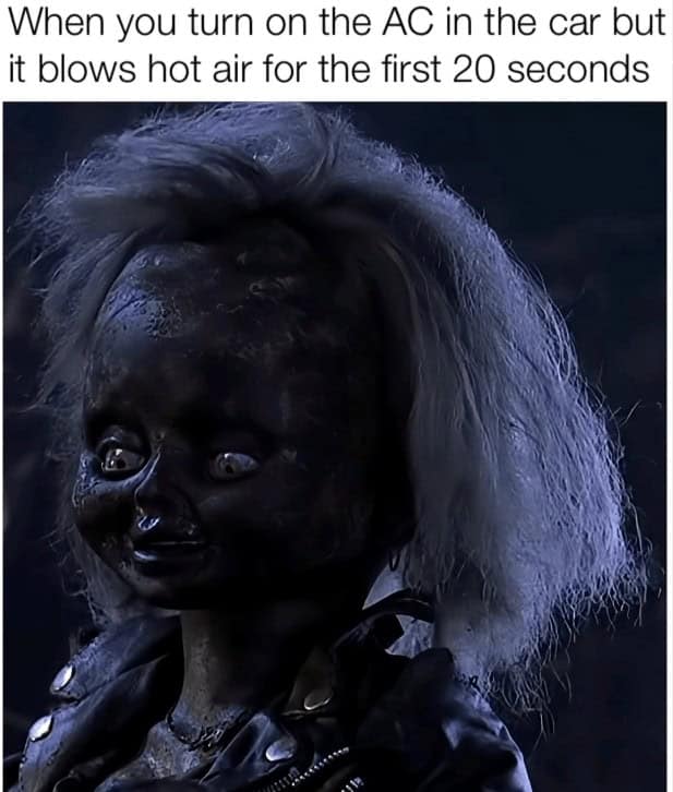 Burnt doll meme with caption about AC blowing hot air for 20 seconds