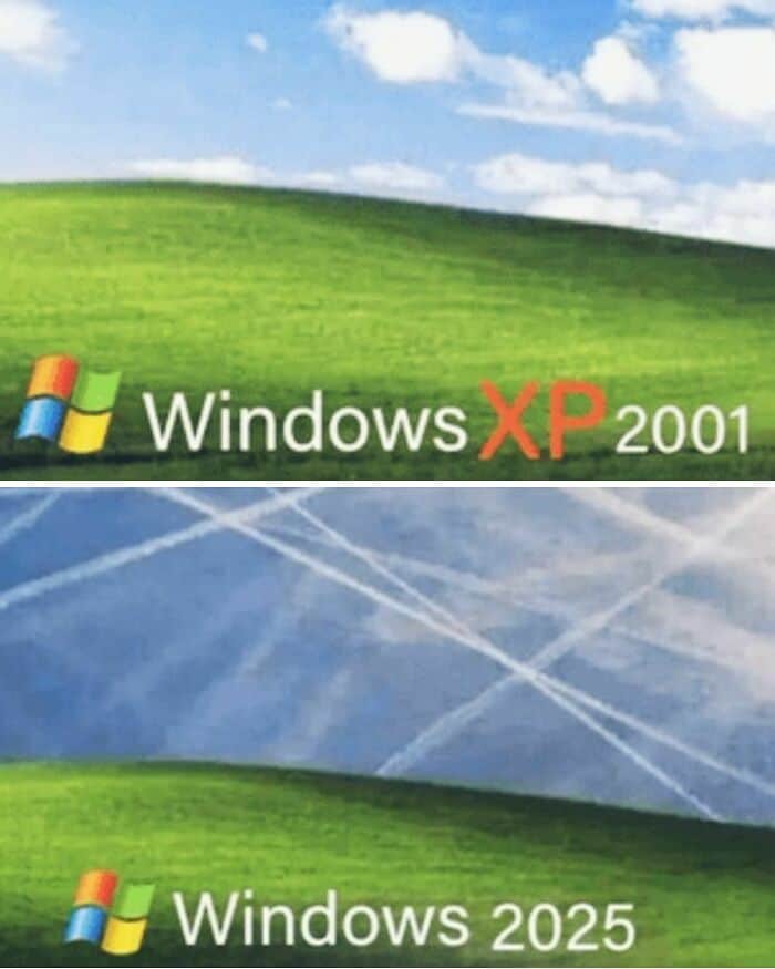 Windows XI 2001