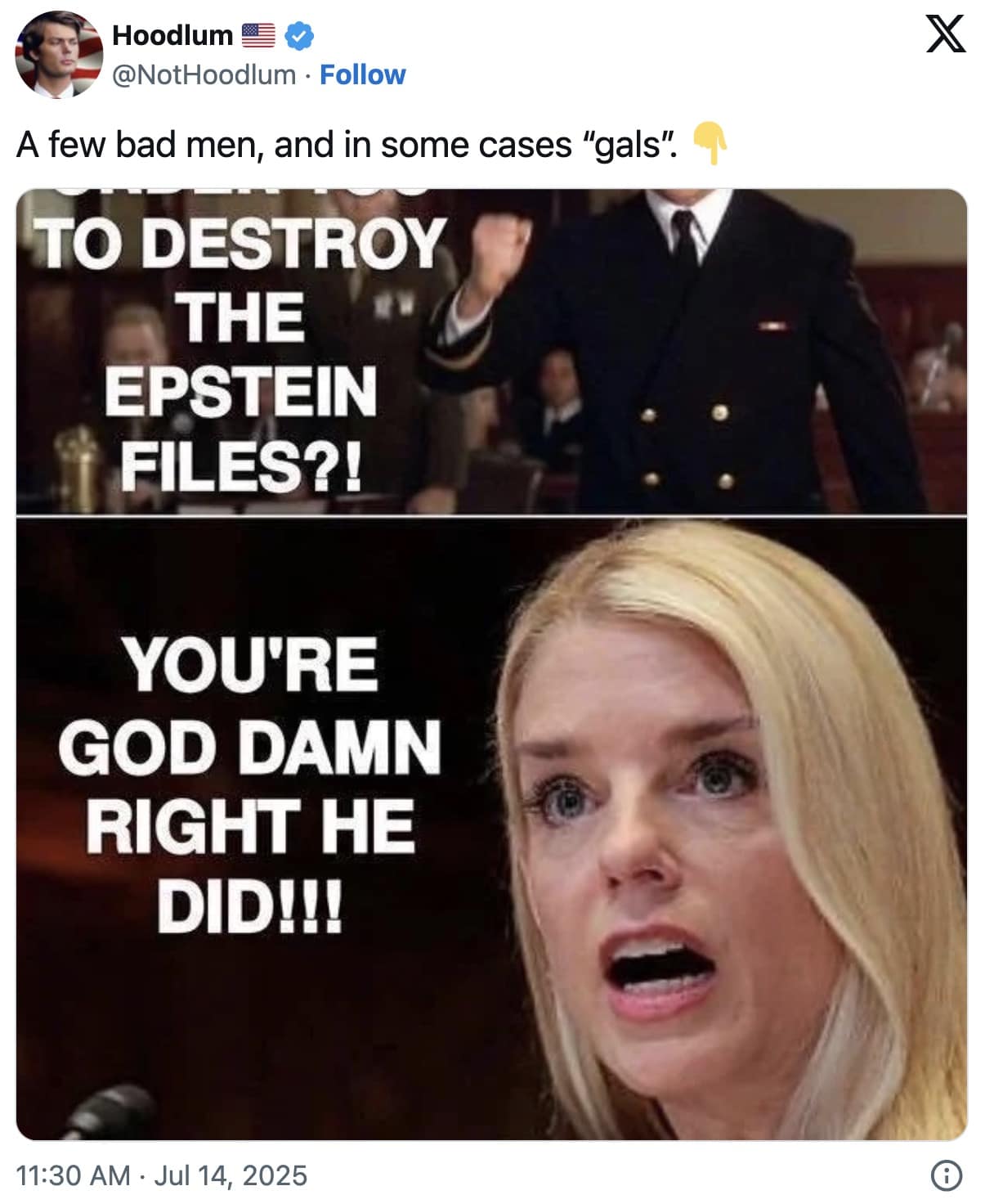 in some cases gals memes, in some cases gals, trump memes, jeffrey epstein memes, trump typo memes, maga meltdown memes, political rant jokes, truth social memes, conspiracy list memes, presidential quote memes, viral phrase memes, social media gaffe memes, what's wrong with my boys and in some cases gals