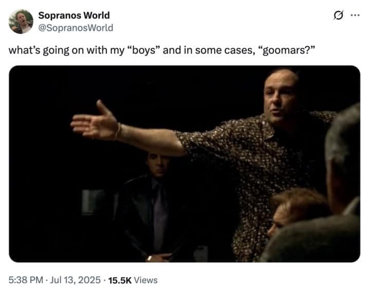 in some cases gals memes, in some cases gals, trump memes, jeffrey epstein memes, trump typo memes, maga meltdown memes, political rant jokes, truth social memes, conspiracy list memes, presidential quote memes, viral phrase memes, social media gaffe memes, what's wrong with my boys and in some cases gals