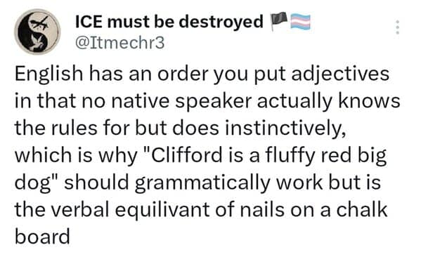 interesting language facts, language trivia, linguistics facts, language fun facts, native tongue facts, word evolution, etymology, grammar quirks, phonetics trivia, dialect facts