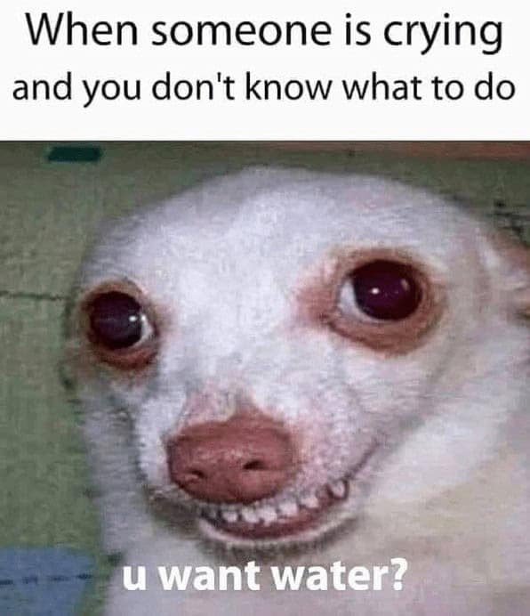 introvert memes, social anxiety memes, relatable memes, quiet humor, group chat memes, shy memes, awkward memes, social battery memes, homebody jokes, meme therapy, anxiety jokes, funny memes, mental health memes, alone time memes, pajama memes, introvert jokes, cancelled plans memes, WiFi memes, weekend memes