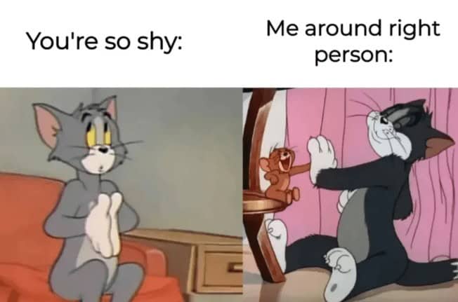 introvert memes, social anxiety memes, relatable memes, quiet humor, group chat memes, shy memes, awkward memes, social battery memes, homebody jokes, meme therapy, anxiety jokes, funny memes, mental health memes, alone time memes, pajama memes, introvert jokes, cancelled plans memes, WiFi memes, weekend memes