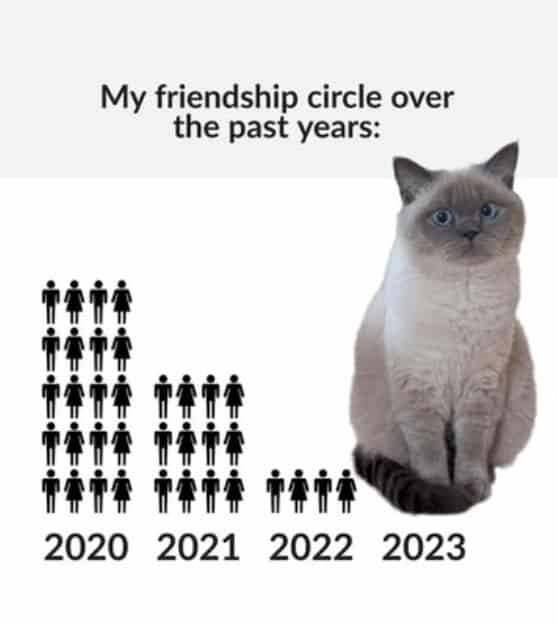 introvert memes, social anxiety memes, relatable memes, quiet humor, group chat memes, shy memes, awkward memes, social battery memes, homebody jokes, meme therapy, anxiety jokes, funny memes, mental health memes, alone time memes, pajama memes, introvert jokes, cancelled plans memes, WiFi memes, weekend memes